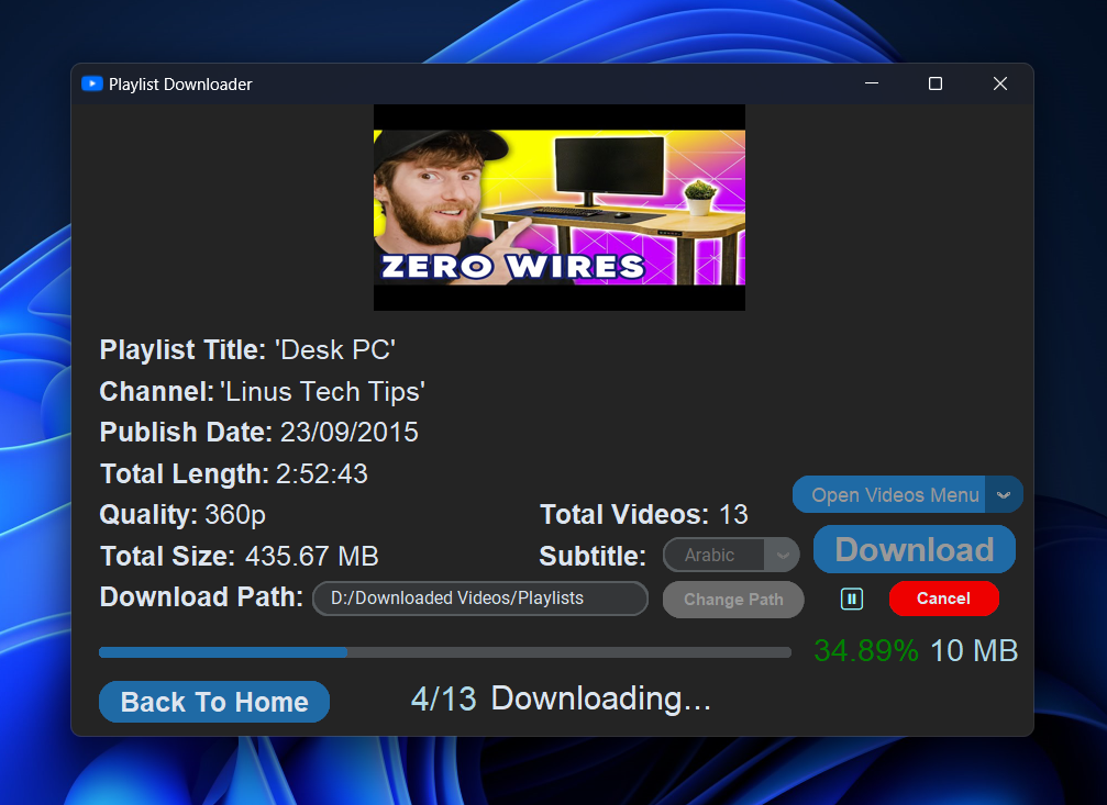 YouTube Downloader Subtitle Options